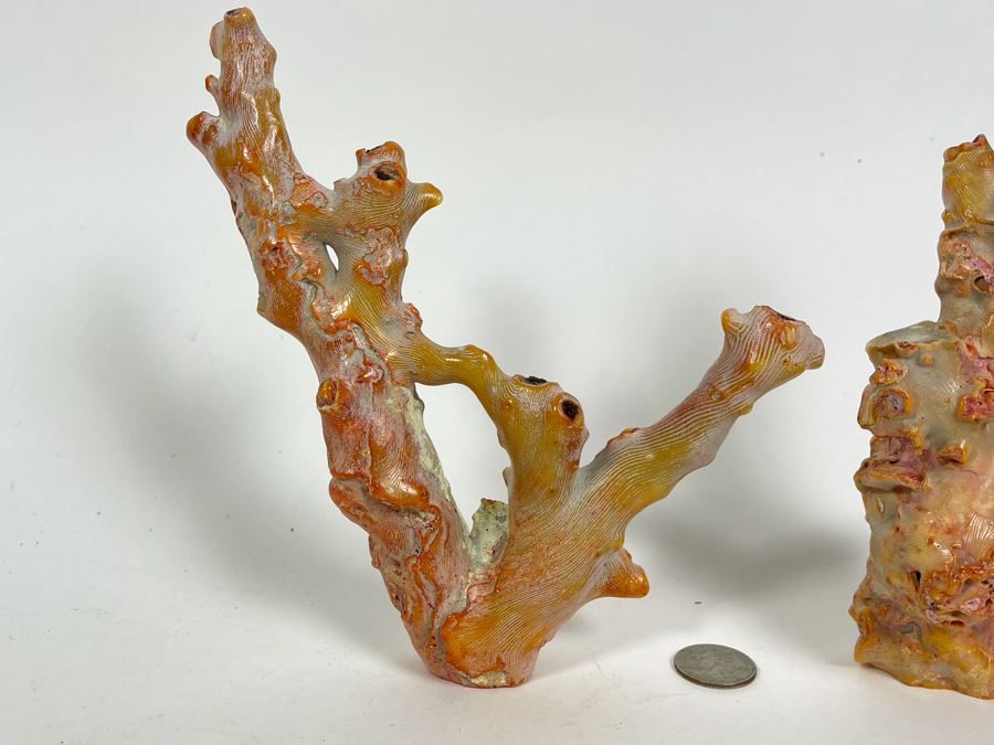 Pair Of Real Organic Pink Coral Sculptures Pieces [Photo 5]