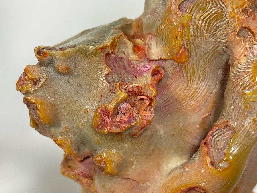 Pair Of Real Organic Pink Coral Sculptures Pieces [Photo 13]