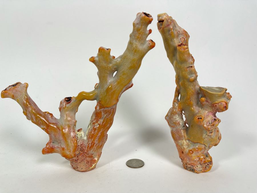 Pair Of Real Organic Pink Coral Sculptures Pieces [Photo 16]