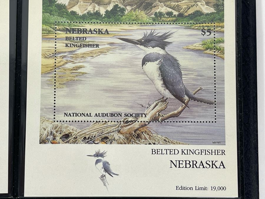 Limited Edition Large Format Mint Stamps Collection From National Audubon Society Birds Of All 50 States $5 Stamps Based On Wildlife Artist Michael Warren - 11 X 10 See Photos [Photo 10]