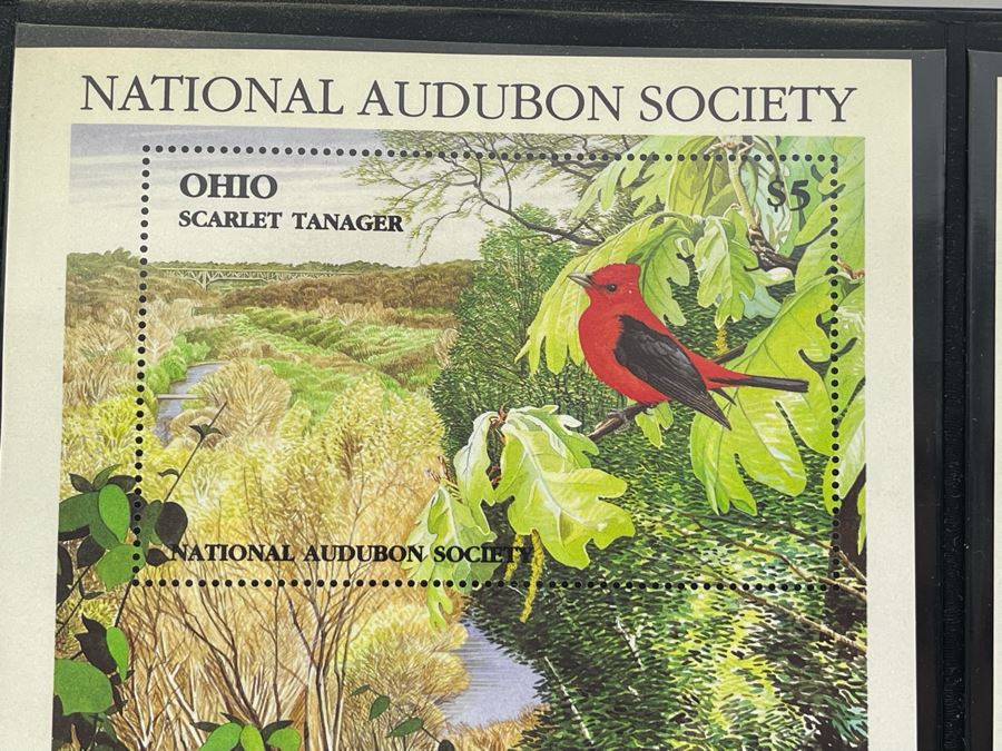 Limited Edition Large Format Mint Stamps Collection From National Audubon Society Birds Of All 50 States $5 Stamps Based On Wildlife Artist Michael Warren - 11 X 10 See Photos [Photo 9]