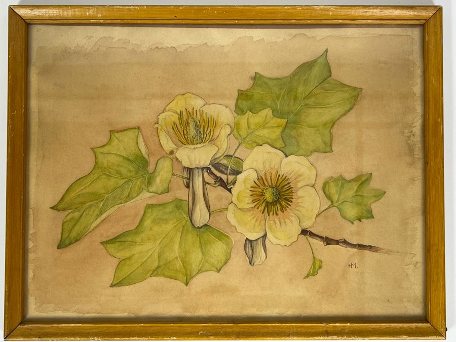 Vintage 1948 Original Watercolor Painting Of Japanese Tulip Tree Signed H.M. 12 X 9 [Photo 2]