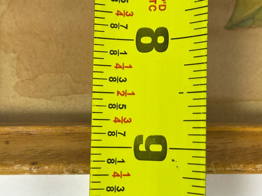 Vintage 1948 Original Watercolor Painting Of Japanese Tulip Tree Signed H.M. 12 X 9 [Photo 9]