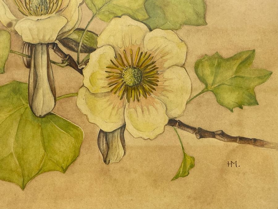 Vintage 1948 Original Watercolor Painting Of Japanese Tulip Tree Signed H.M. 12 X 9 [Photo 6]