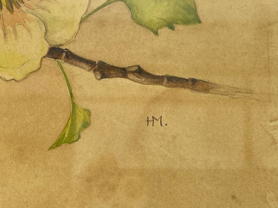 Vintage 1948 Original Watercolor Painting Of Japanese Tulip Tree Signed H.M. 12 X 9 [Photo 7]
