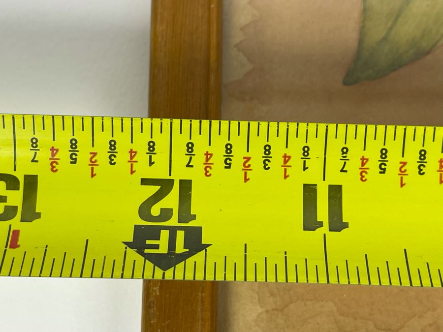 Vintage 1948 Original Watercolor Painting Of Japanese Tulip Tree Signed H.M. 12 X 9 [Photo 8]