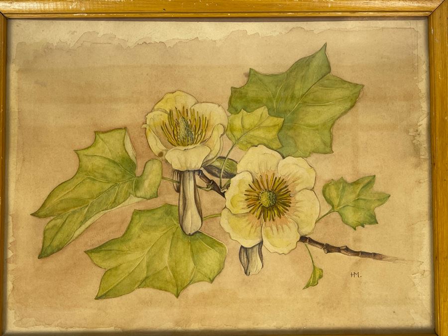 Vintage 1948 Original Watercolor Painting Of Japanese Tulip Tree Signed H.M. 12 X 9 [Photo 3]
