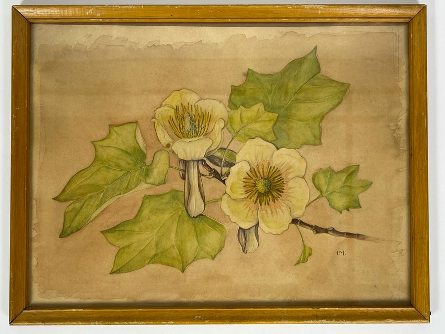 Vintage 1948 Original Watercolor Painting Of Japanese Tulip Tree Signed H.M. 12 X 9 [Photo 1]