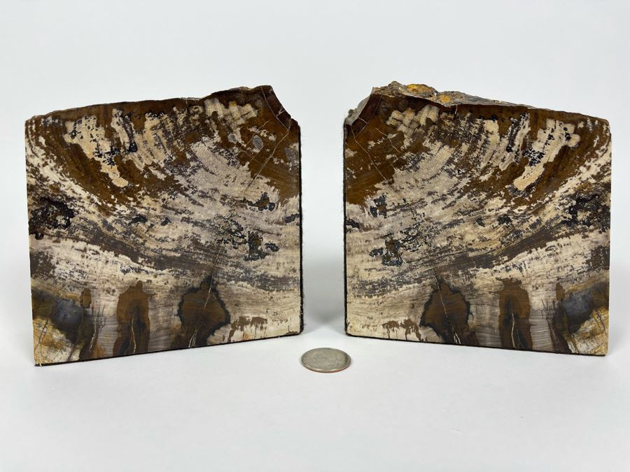 Pair Of Petrified Wood Bookends 5W X 2D X 5H [Photo 1]