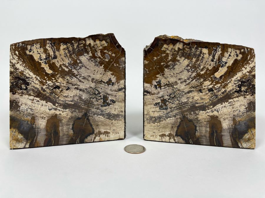 Pair Of Petrified Wood Bookends 5W X 2D X 5H [Photo 2]