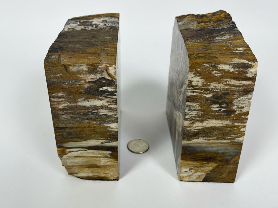 Pair Of Petrified Wood Bookends 5W X 2D X 5H [Photo 5]
