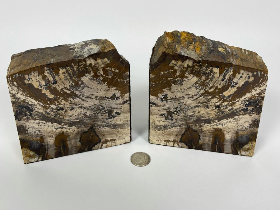 Pair Of Petrified Wood Bookends 5W X 2D X 5H [Photo 4]