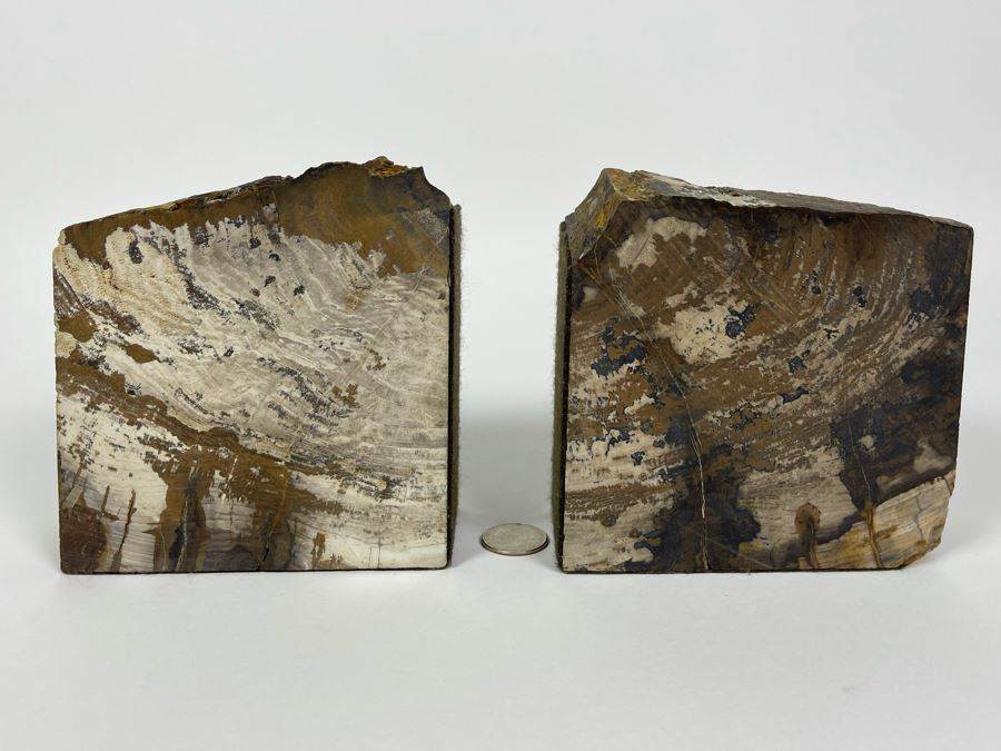Pair Of Petrified Wood Bookends 5W X 2D X 5H [Photo 6]