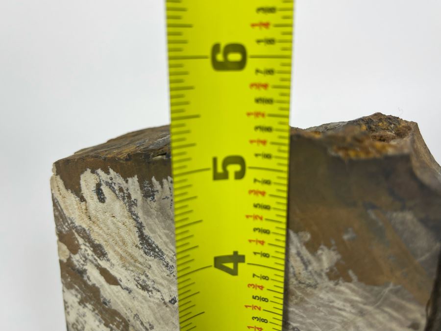 Pair Of Petrified Wood Bookends 5W X 2D X 5H [Photo 9]