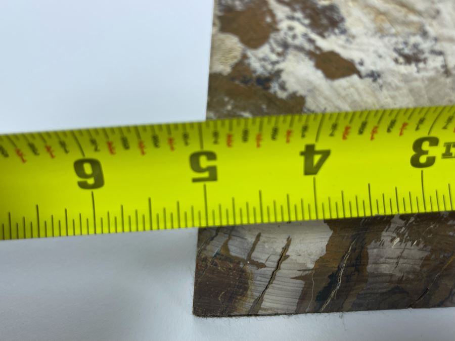 Pair Of Petrified Wood Bookends 5W X 2D X 5H [Photo 7]