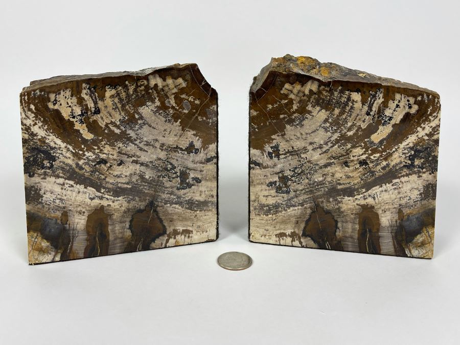 Pair Of Petrified Wood Bookends 5W X 2D X 5H [Photo 3]