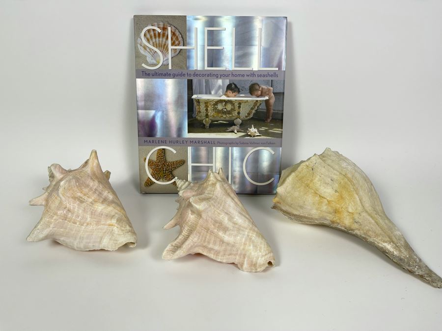 Three Conch Seashells And Shell Chic Coffee Table Book First Edition [Photo 2]