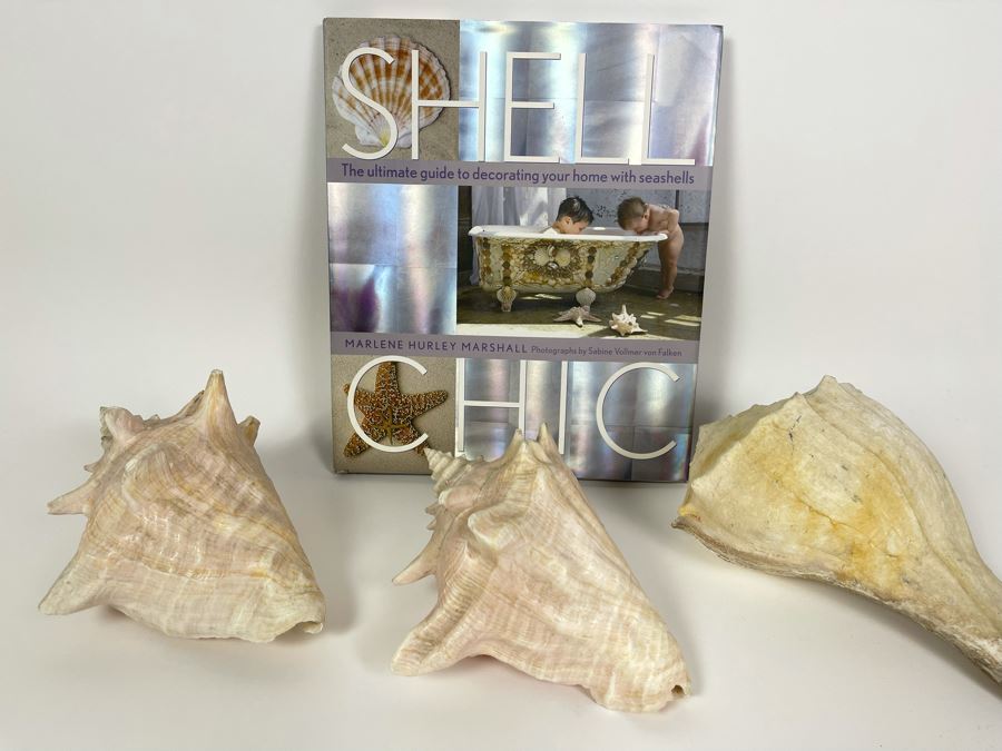 Three Conch Seashells And Shell Chic Coffee Table Book First Edition [Photo 3]