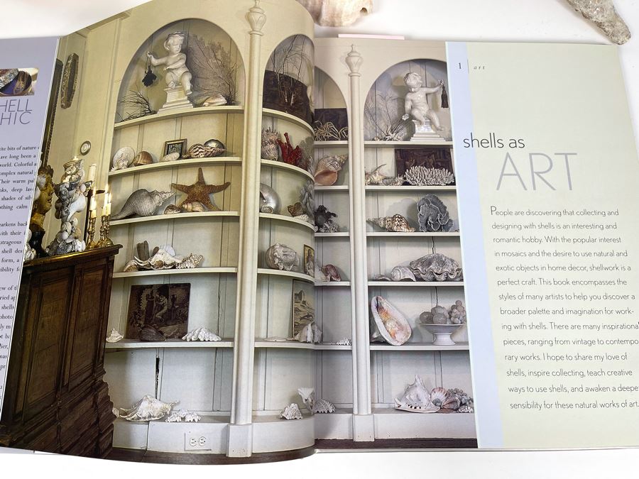 Three Conch Seashells And Shell Chic Coffee Table Book First Edition [Photo 10]