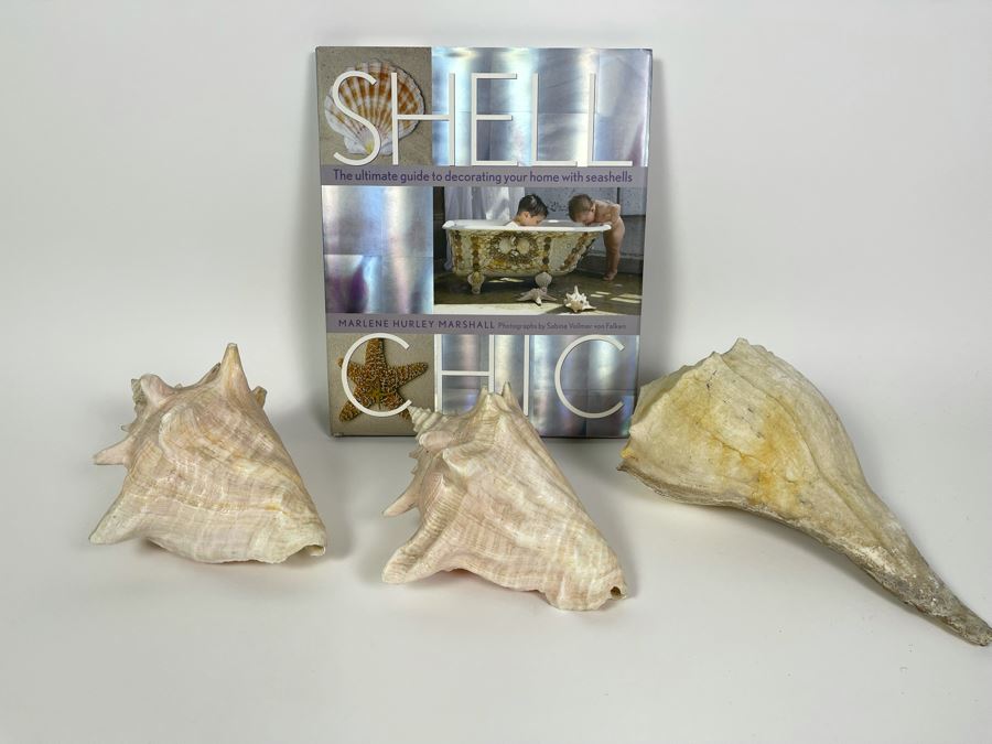 Three Conch Seashells And Shell Chic Coffee Table Book First Edition [Photo 1]