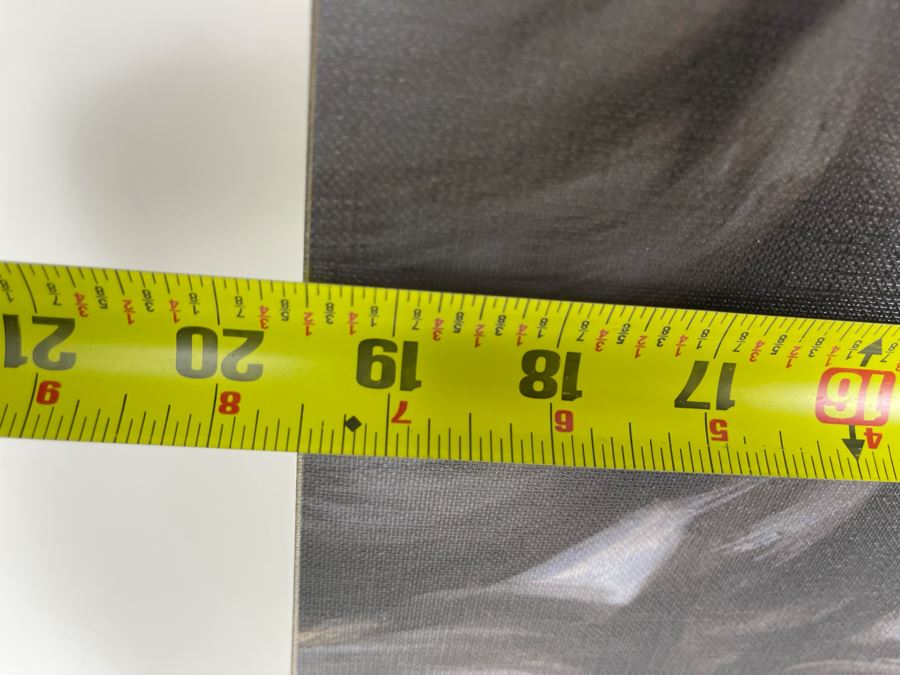 Marilyn Monroe Canvas Print 19.5 X 39 [Photo 2]