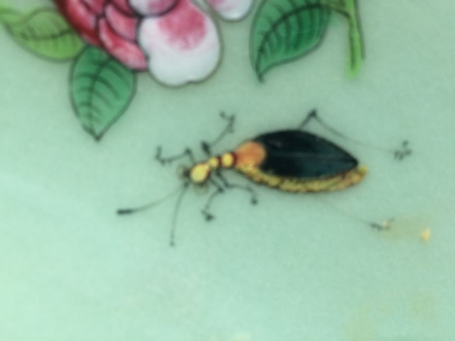 Pair of Chinese Hand Painted Plates [Photo 17]