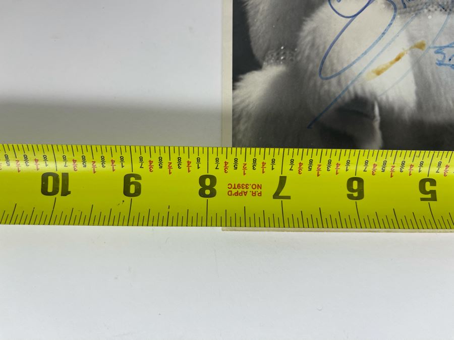 Personalized And Signed Liberace Photograph Signed To David (Lavington), From Your Friend Liberace With Piano Sketch 1978 8 X 10 [Photo 9]