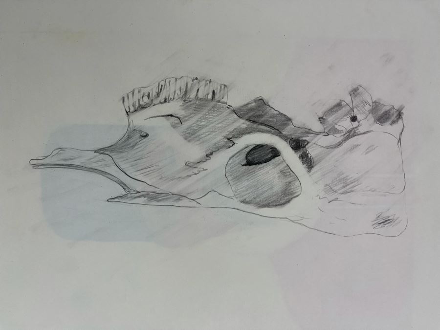 David Lavington (American, 1951–1995) Various Drawings Of David Lavington In 12 X 17 Artist Sketch Book - See Photos [Photo 24]