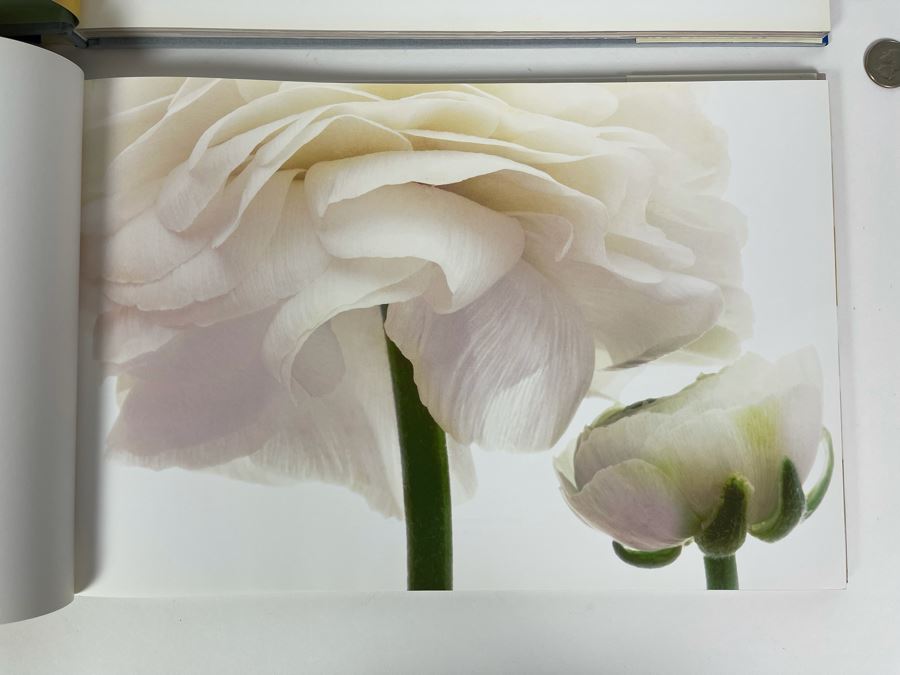 Pair Of First Edition Signed Books By Barbara Bordnick: Searchings: Secret Landscapes Of Flowers Volumes II And III [Photo 13]