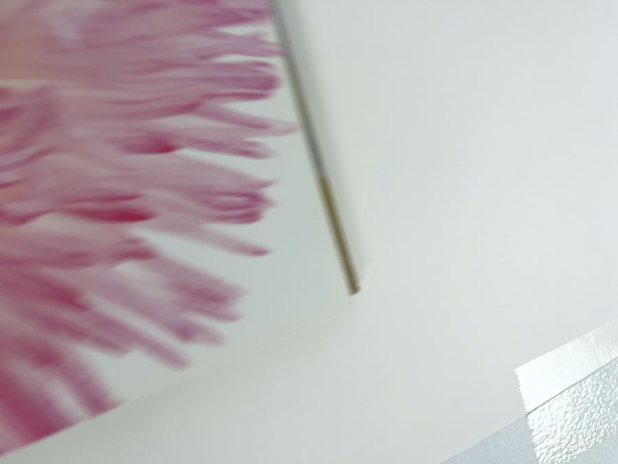 Pair Of First Edition Signed Books By Barbara Bordnick: Searchings: Secret Landscapes Of Flowers Volumes II And III [Photo 20]