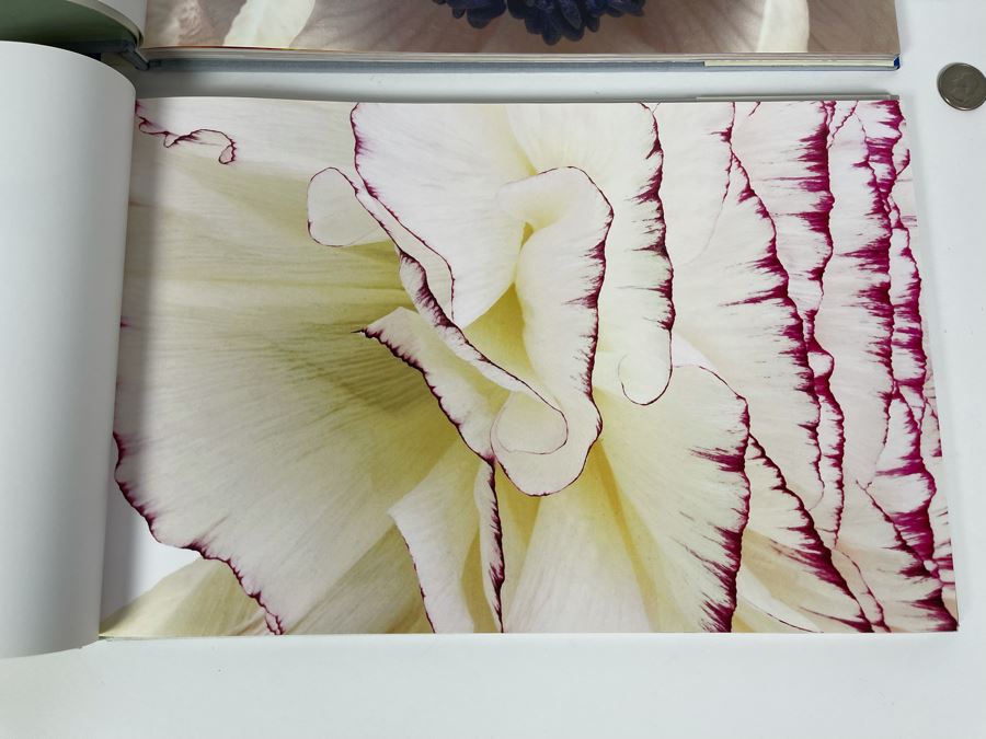 Pair Of First Edition Signed Books By Barbara Bordnick: Searchings: Secret Landscapes Of Flowers Volumes II And III [Photo 18]