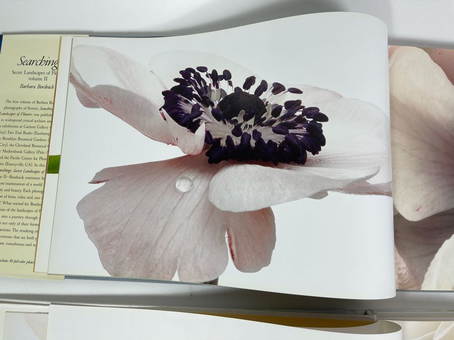 Pair Of First Edition Signed Books By Barbara Bordnick: Searchings: Secret Landscapes Of Flowers Volumes II And III [Photo 16]