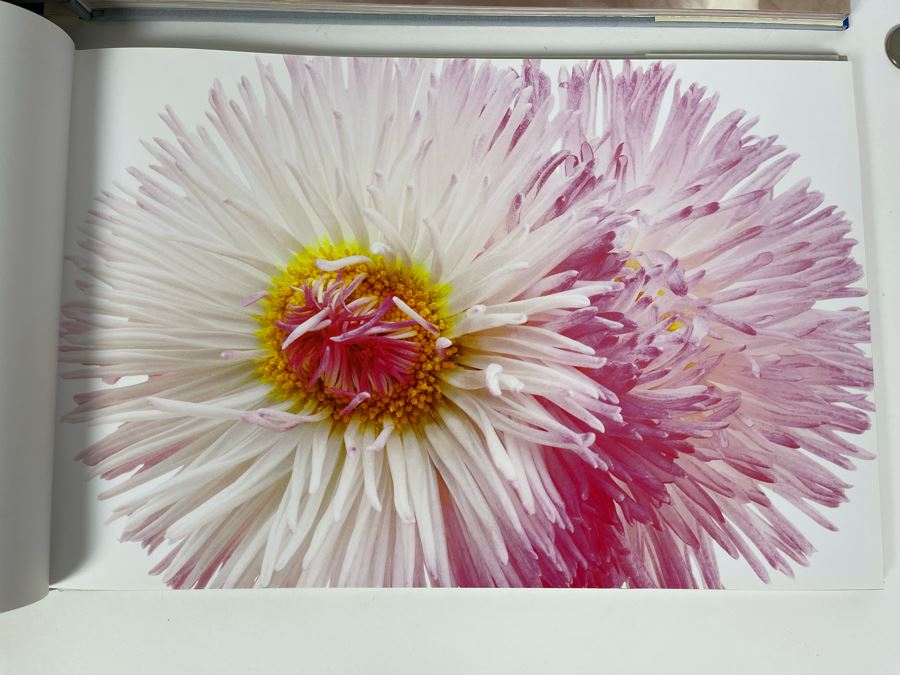 Pair Of First Edition Signed Books By Barbara Bordnick: Searchings: Secret Landscapes Of Flowers Volumes II And III [Photo 19]