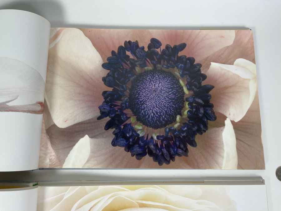 Pair Of First Edition Signed Books By Barbara Bordnick: Searchings: Secret Landscapes Of Flowers Volumes II And III [Photo 17]