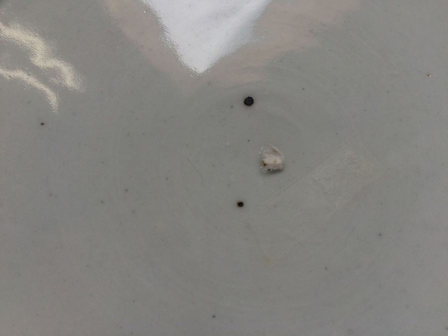 Meiji Japanese Transferware Blue and White Porcelain Plate [Photo 13]