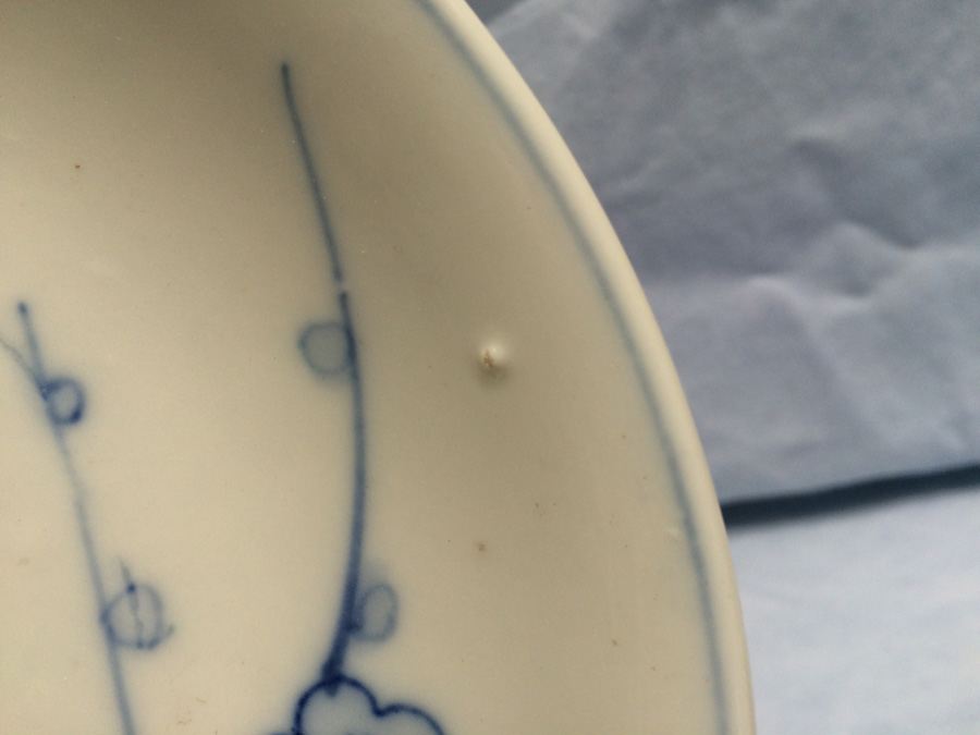 Japanese Blue & White Plate circa 1900 [Photo 10]