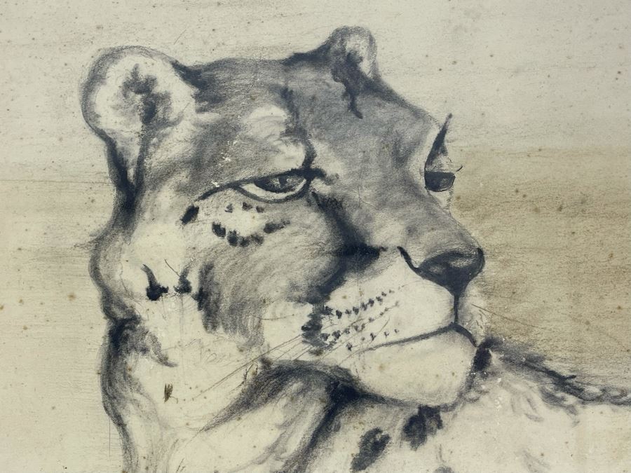 Framed Original Drawing 14 X 16 [Photo 3]