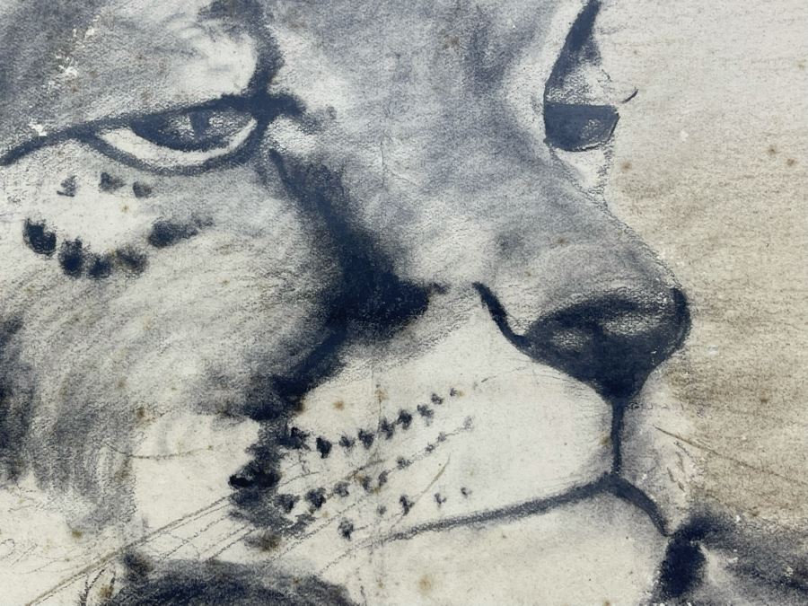 Framed Original Drawing 14 X 16 [Photo 8]