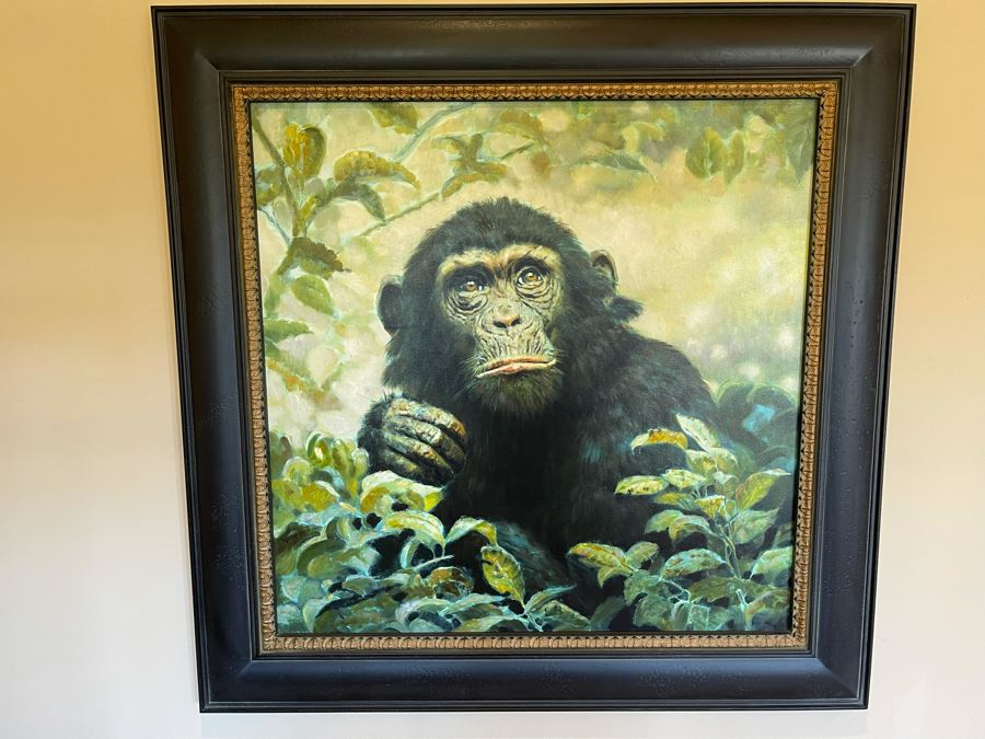 Framed Canvas Chimpanzee Print Frame Measures 46.5 X 46.5