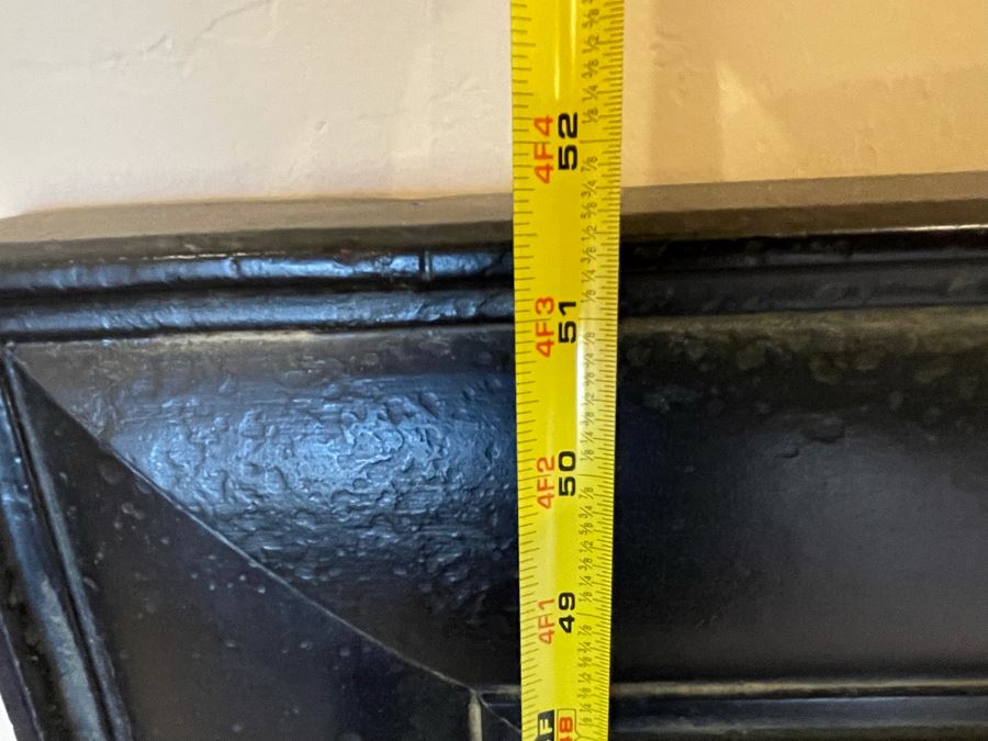 Framed Canvas Lion Print Frame Measures 51.5 X 51.5 [Photo 10]