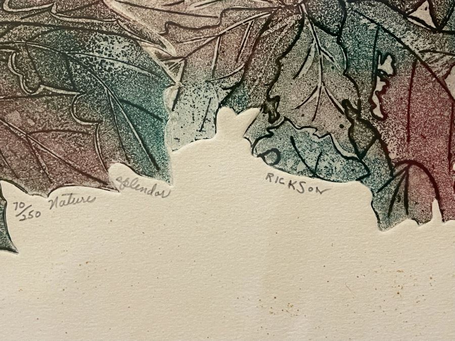 Framed Limited Edition Print Hand Signed By Rickson Titled Nature Splendor 26W X 19H [Photo 4]