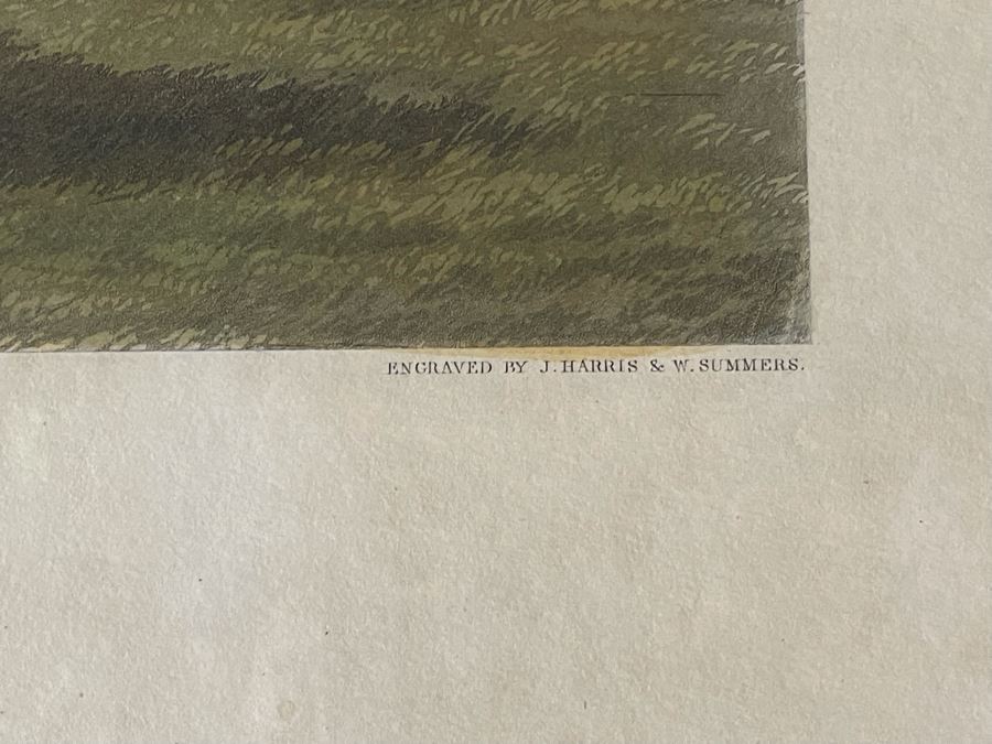 Framed Engraving: Racing, Plate 2 'A False Start' Fores's National Sports Painted By J.F. Herring Engraved By J. Harris & W. Summers 43 X 24 [Photo 8]