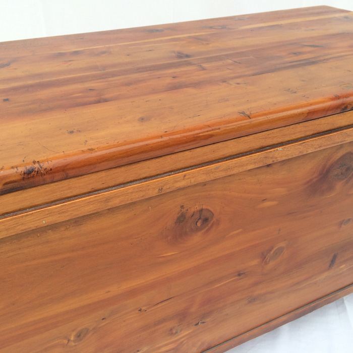 Cedar Trunk [Photo 15]