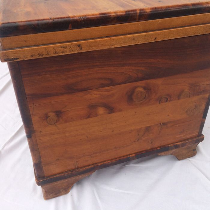 Cedar Trunk [Photo 13]