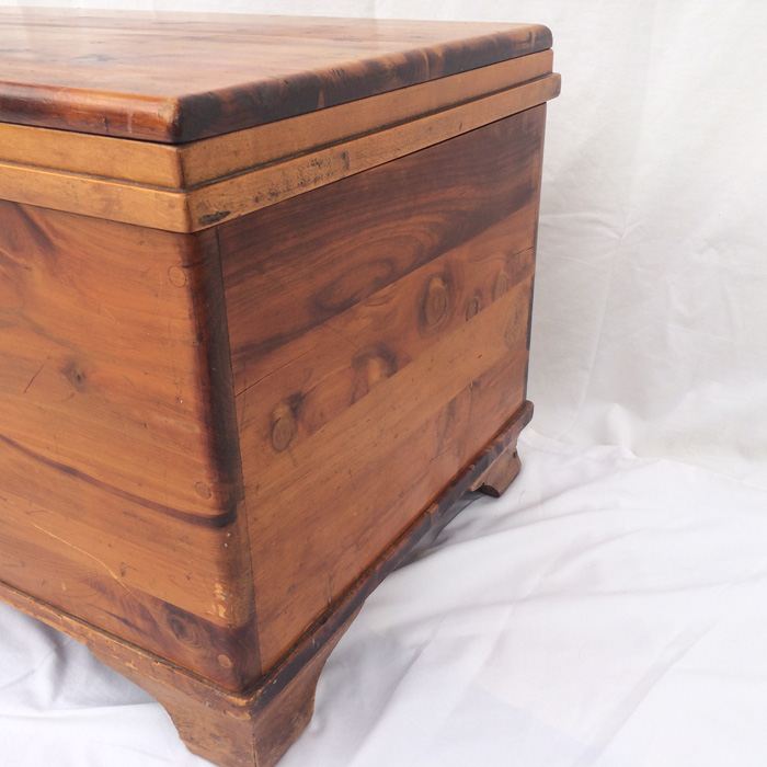 Cedar Trunk [Photo 7]
