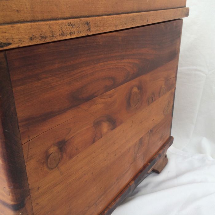 Cedar Trunk [Photo 8]