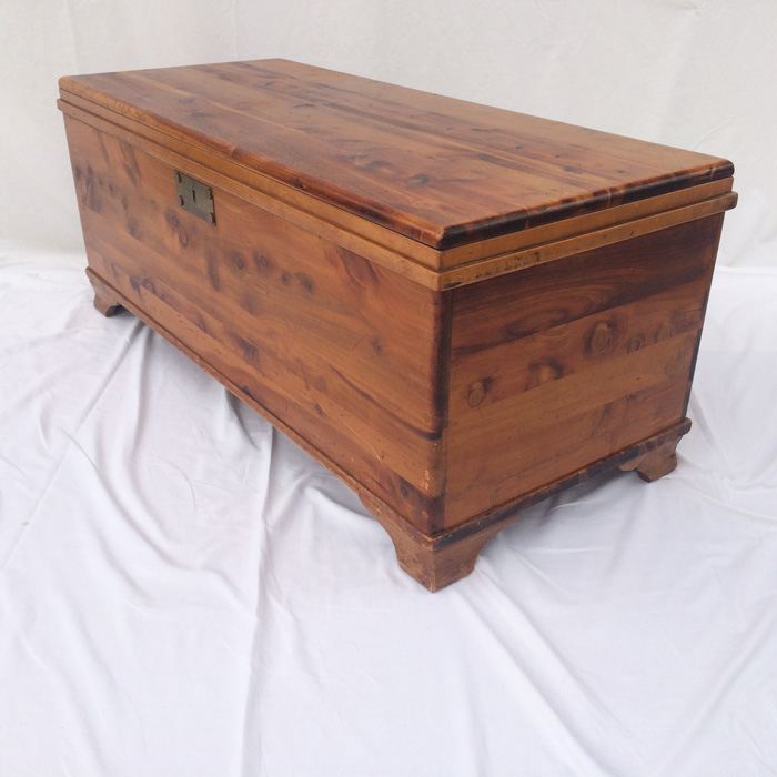 Cedar Trunk [Photo 12]