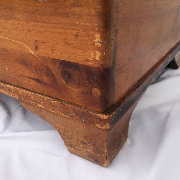 Cedar Trunk [Photo 6]