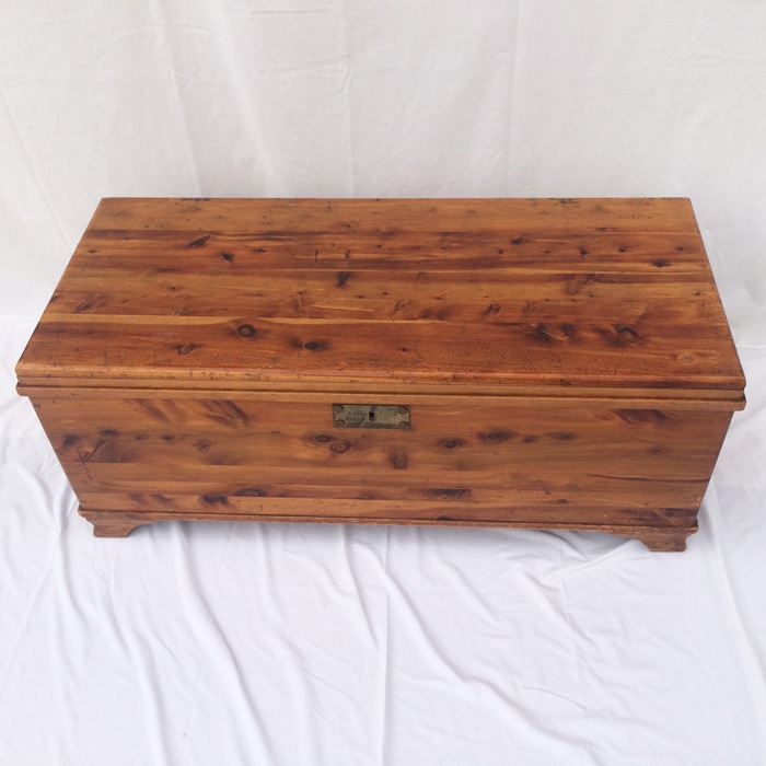 Cedar Trunk [Photo 5]