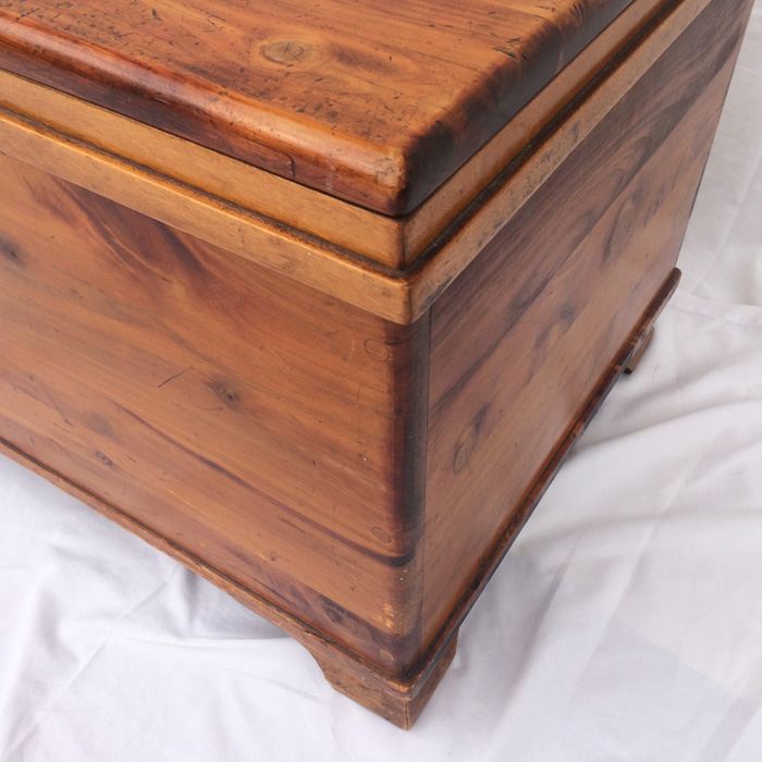 Cedar Trunk [Photo 2]